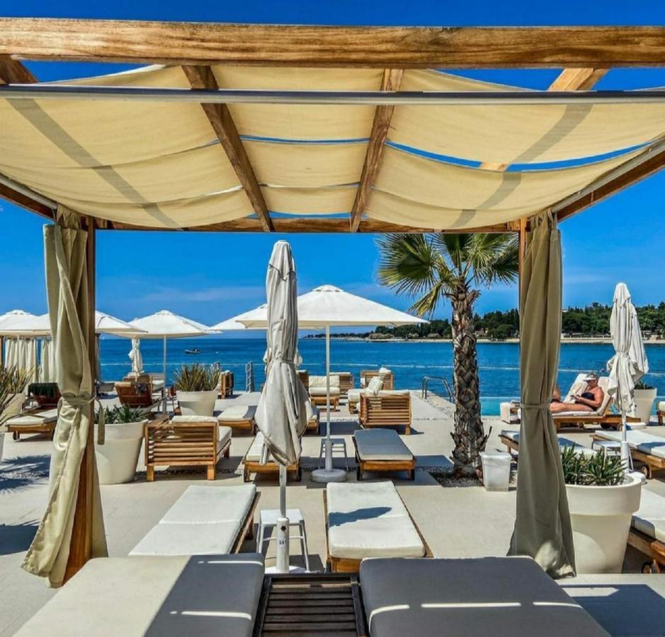 Luxury New !!! One And Only With Terrace & Free Bikes *