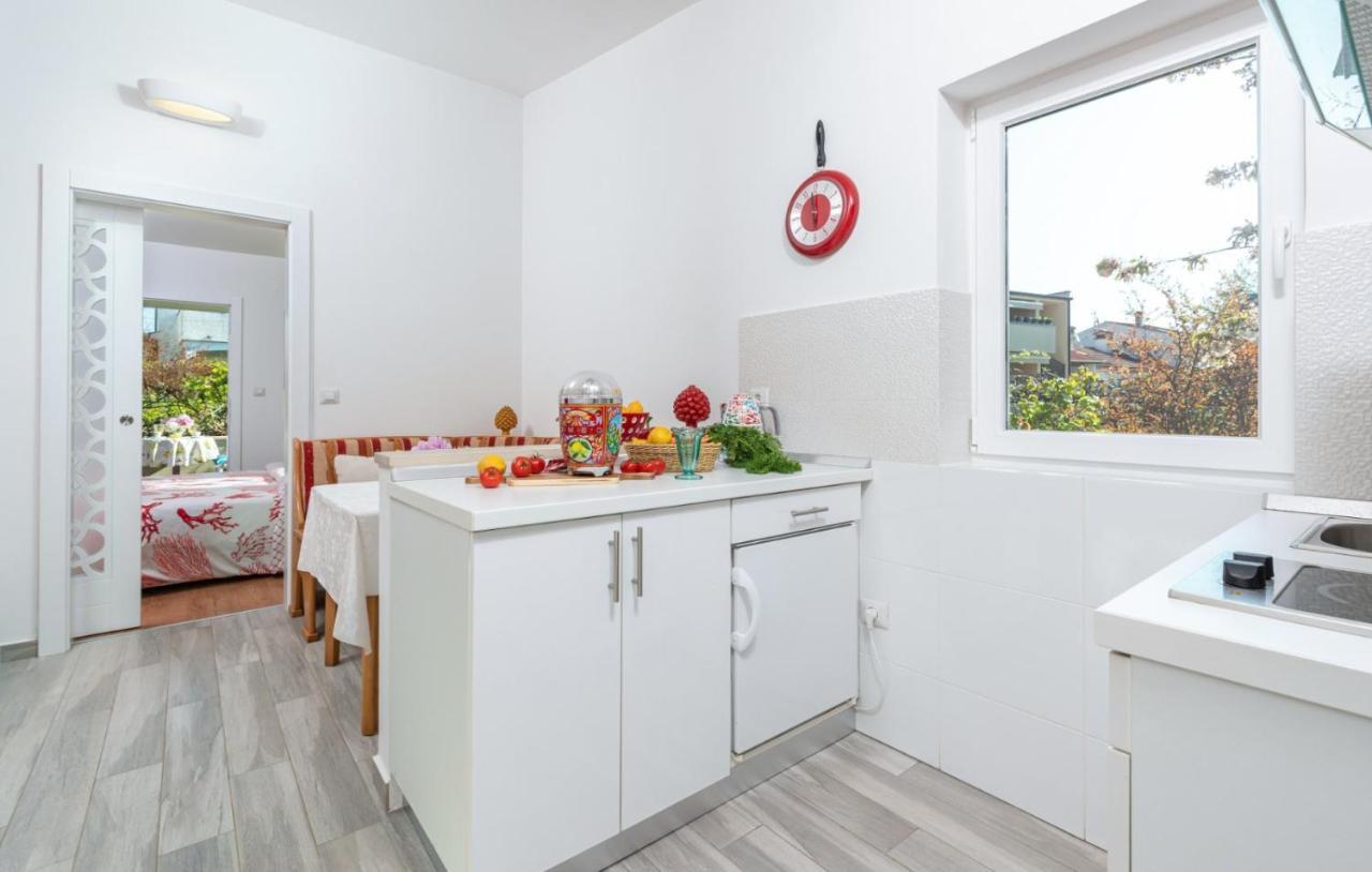 Luxury New !!! One And Only With Terrace & Free Bikes