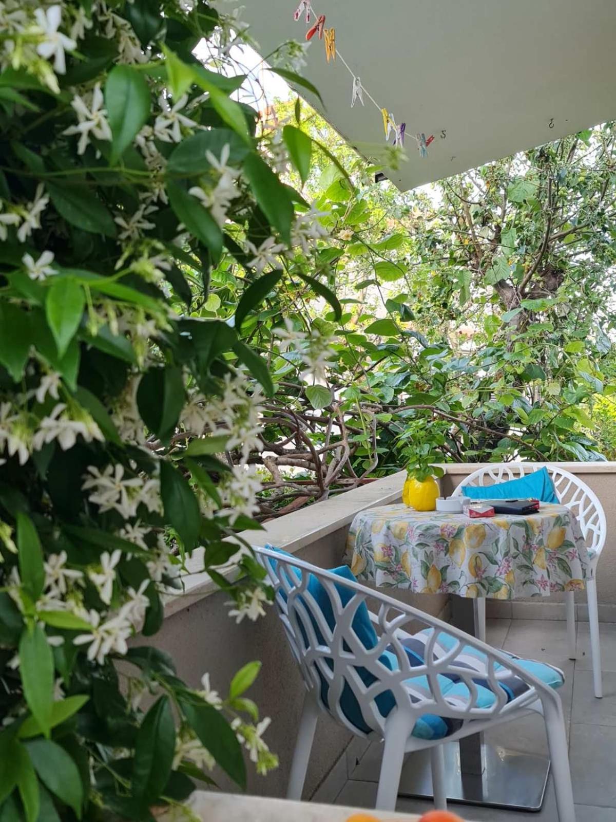 Apartment Luxury New !!! One And Only With Terrace & Free Bikes