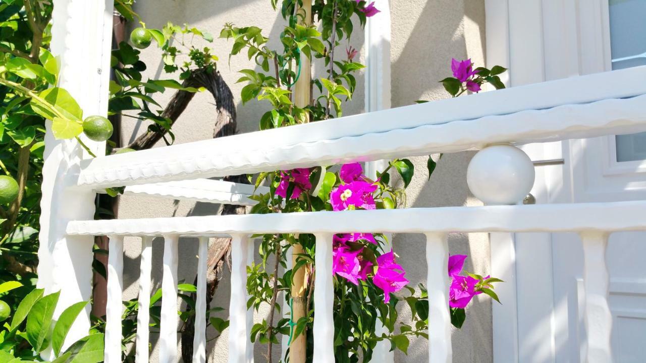 Luxury New !!! One And Only With Terrace & Free Bikes *